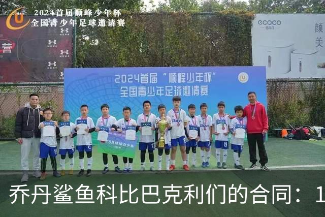 乔丹鲨鱼科比巴克利们的合同：1996，史上最伟大夏天